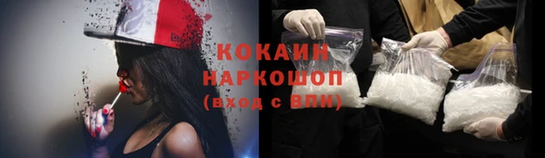 шишки Бородино