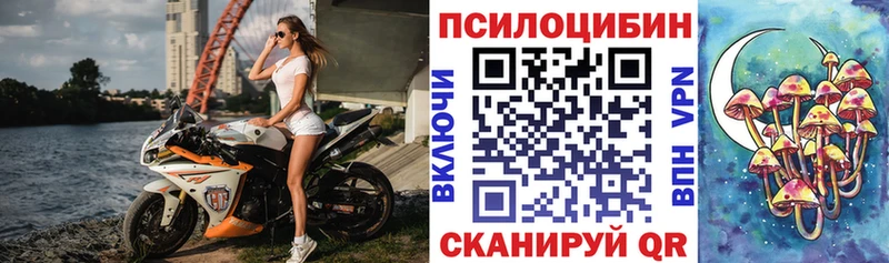 Галлюциногенные грибы мицелий  blacksprut ссылки  Видное 