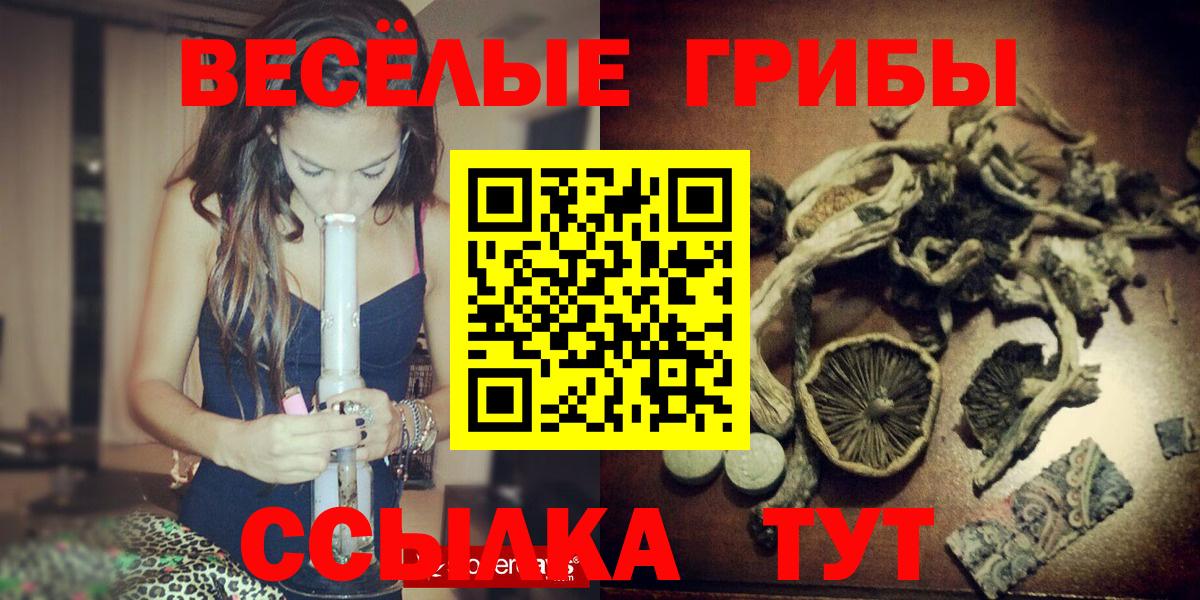 Видное  Псилоцибиновые грибы Psilocybine cubensis  Вход с VPN 
