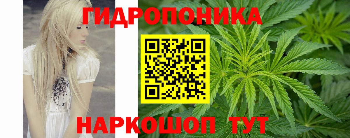 Шишки марихуана индика  Вход с VPN  Видное  Канабис MAZAR  Конопля план 